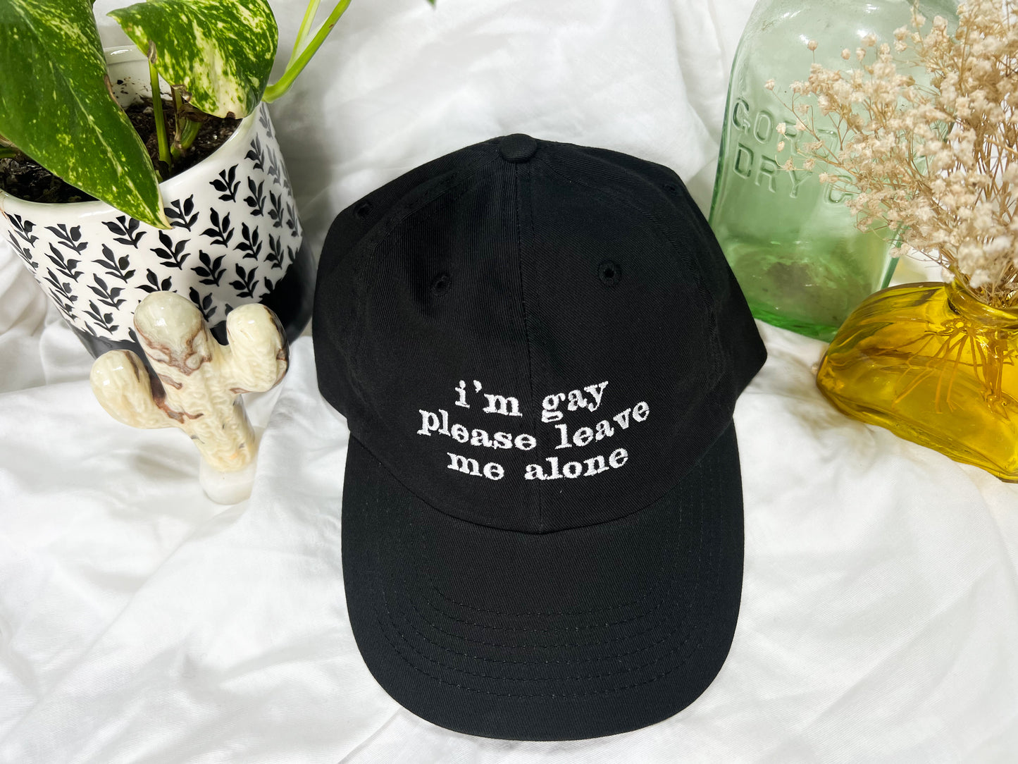 i'm gay please leave me alone cap (PREORDER)