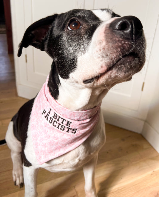 i bite _____ pet bandana (custom preorder)