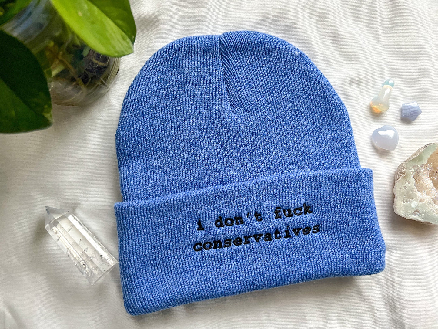 i don't fuck conservatives beanie