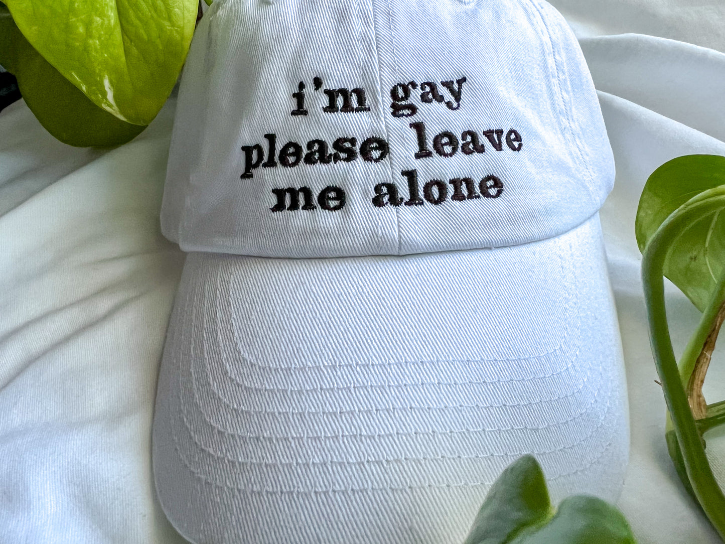 i'm gay please leave me alone cap (PREORDER)