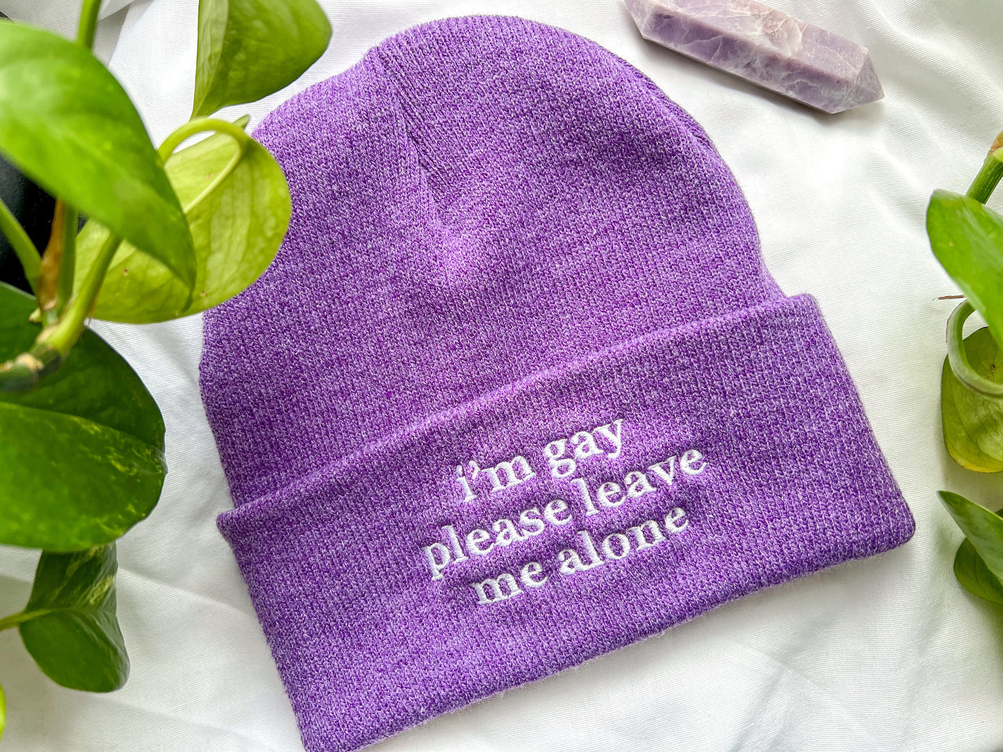 i’m gay please leave me alone beanie