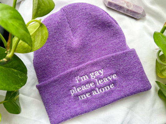 i’m gay please leave me alone beanie