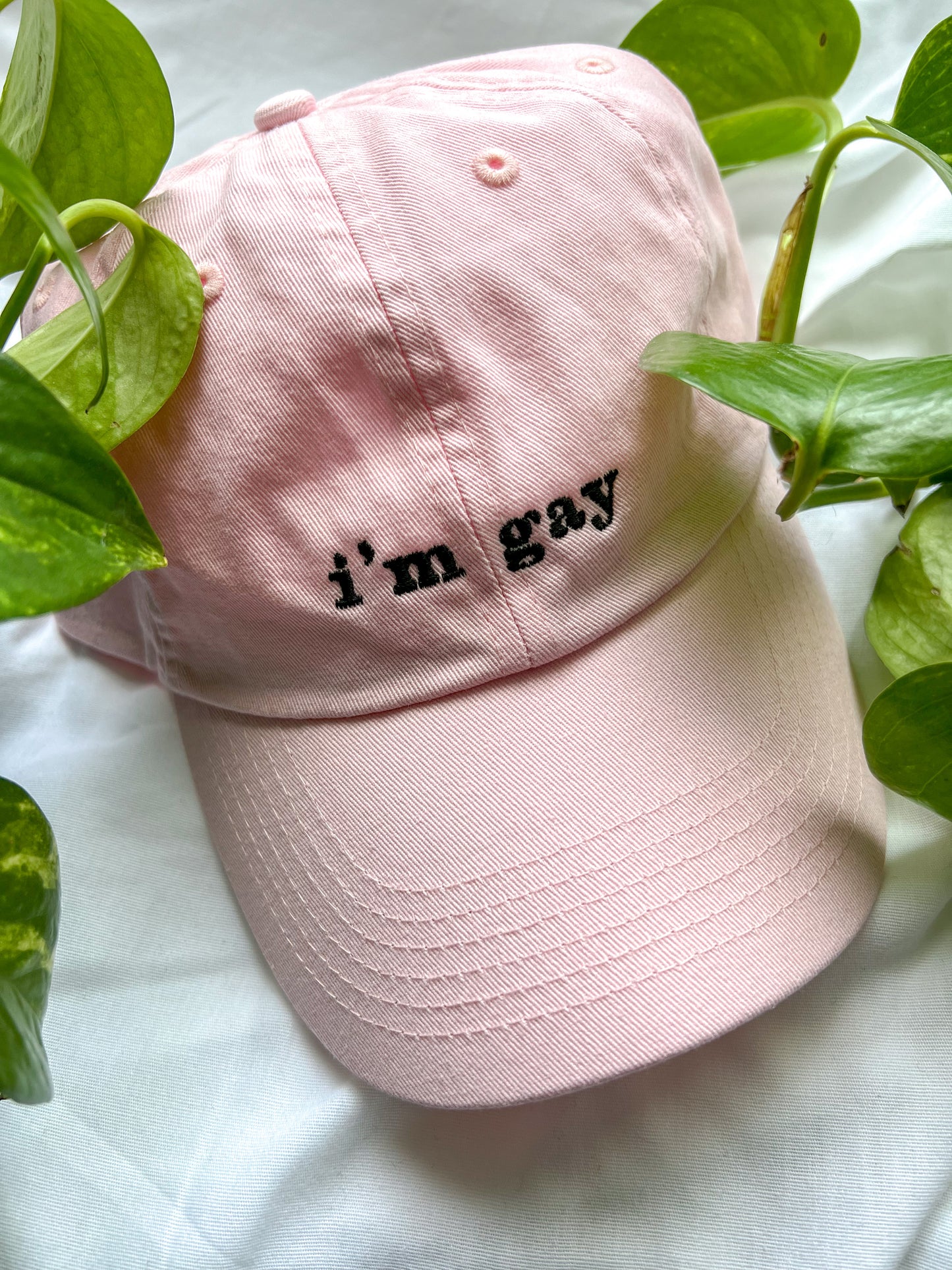i’m gay cap (PREORDER)