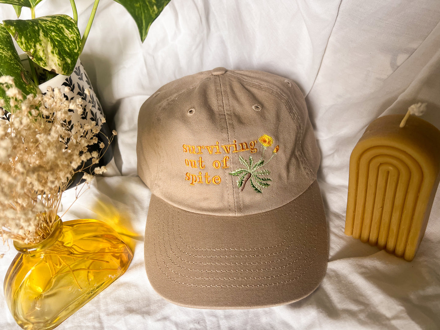 surviving out of spite cap (PREORDER)