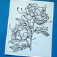 peonies print - odd moss studio