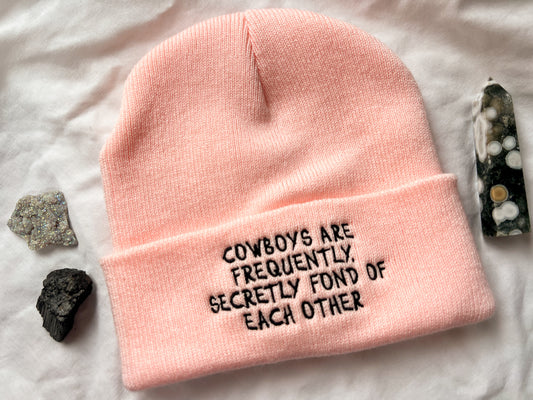 cowboys beanie