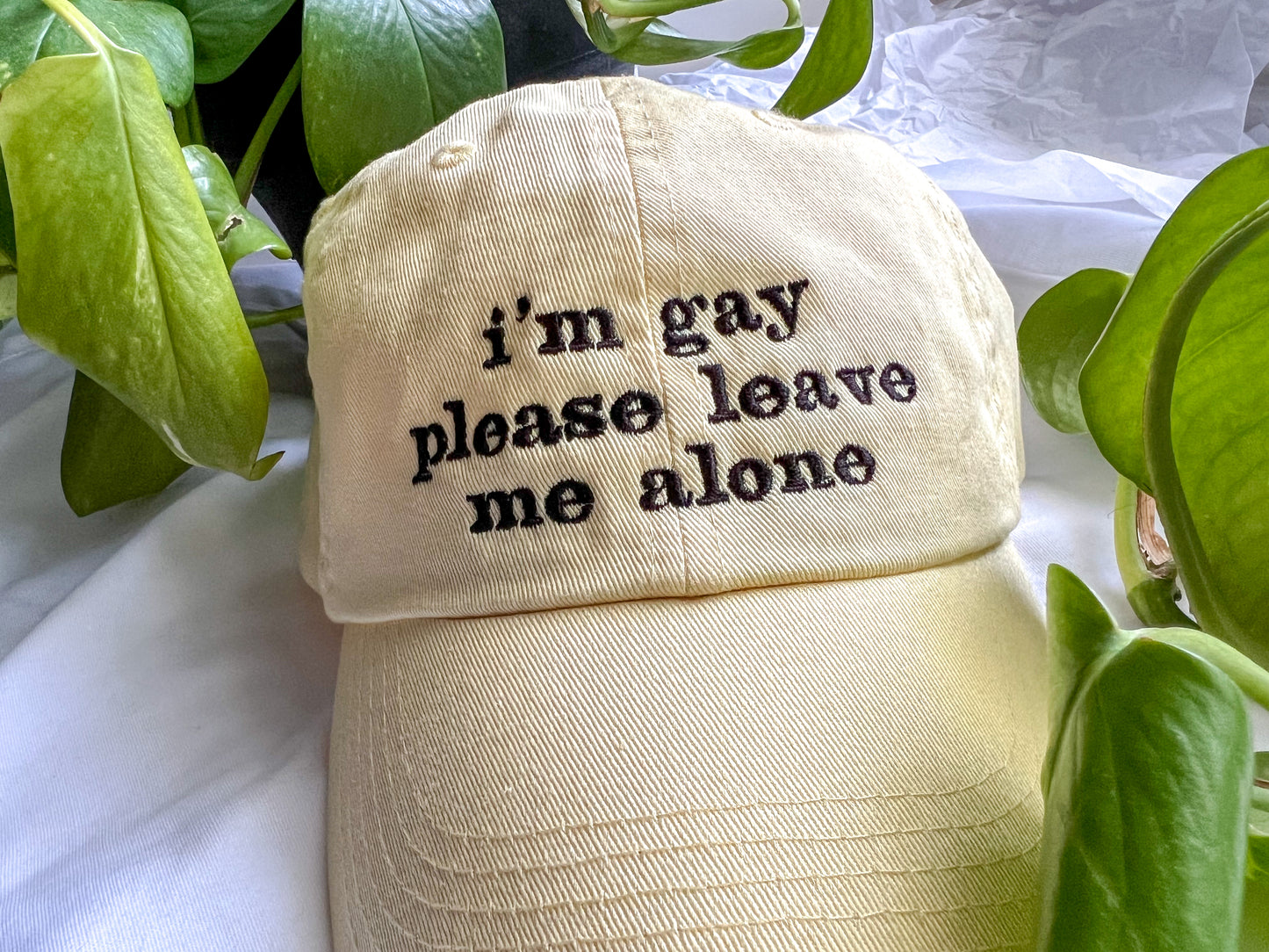 i'm gay please leave me alone cap (PREORDER)