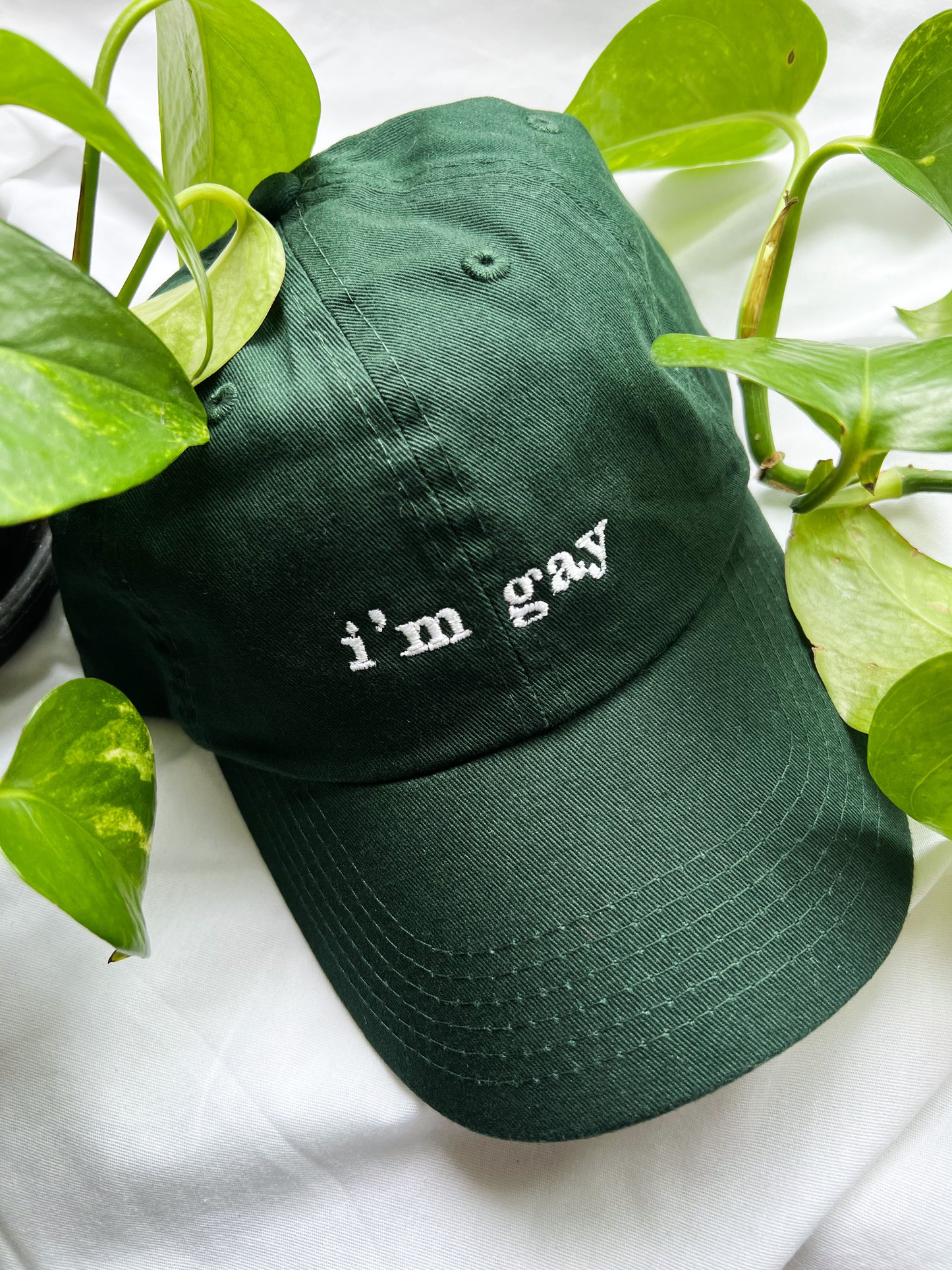 i’m gay cap (PREORDER)
