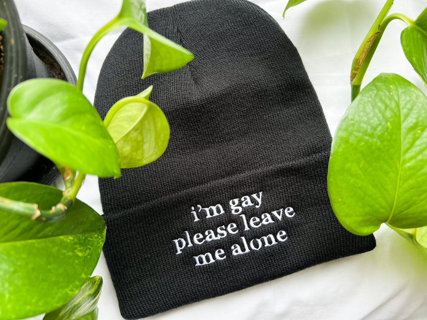 i’m gay please leave me alone beanie