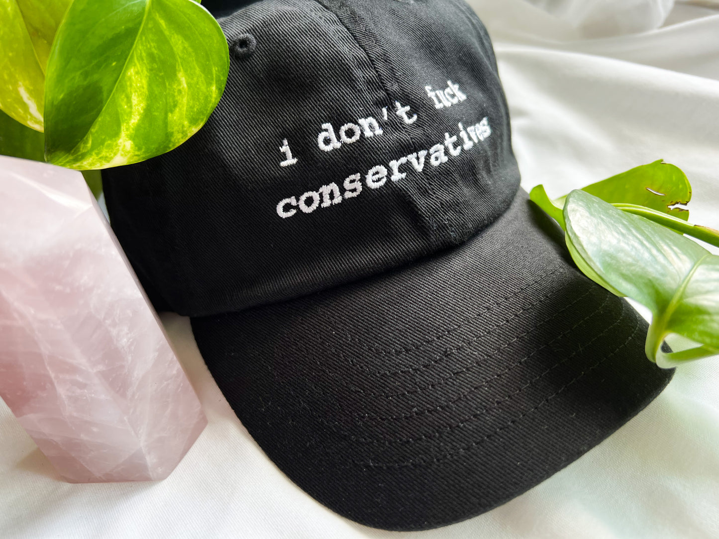 i don't fuck conservatives cap (PREORDER)
