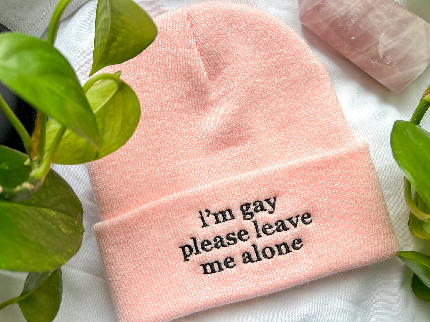 i’m gay please leave me alone beanie