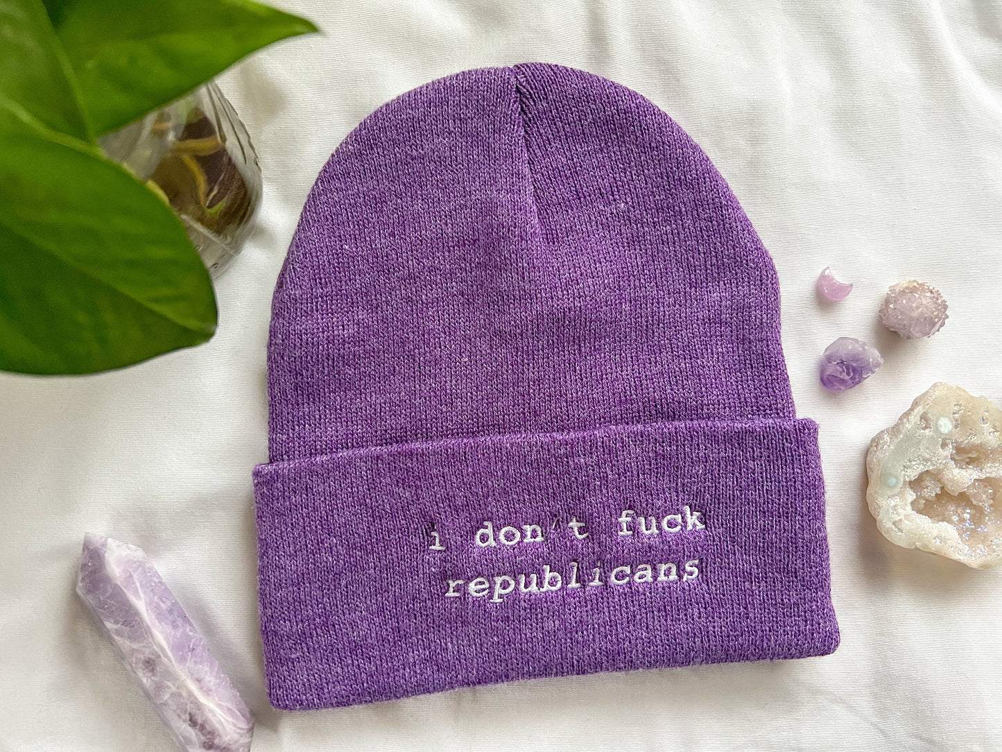 i don't fuck republicans beanie