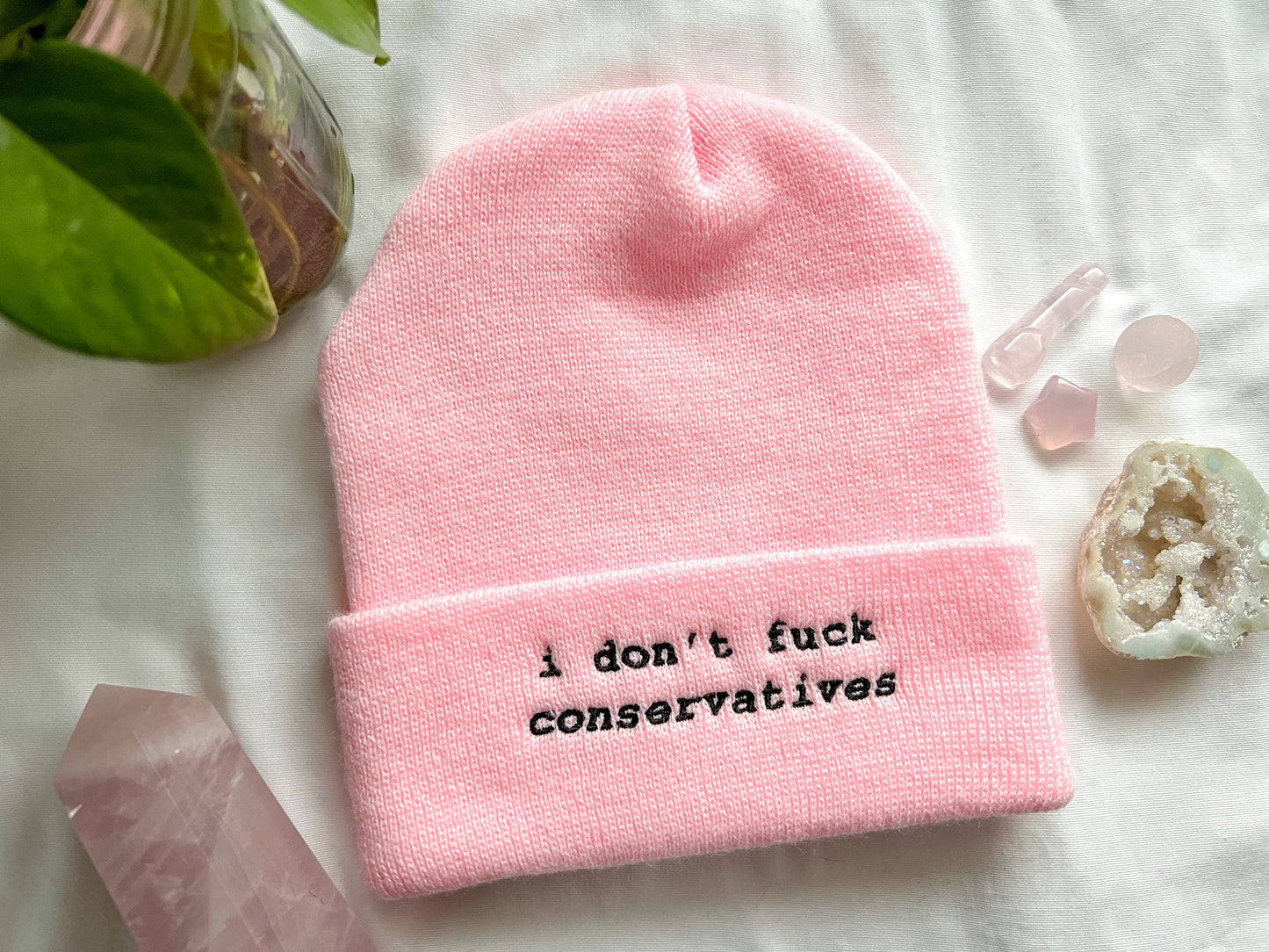 i don't fuck conservatives beanie