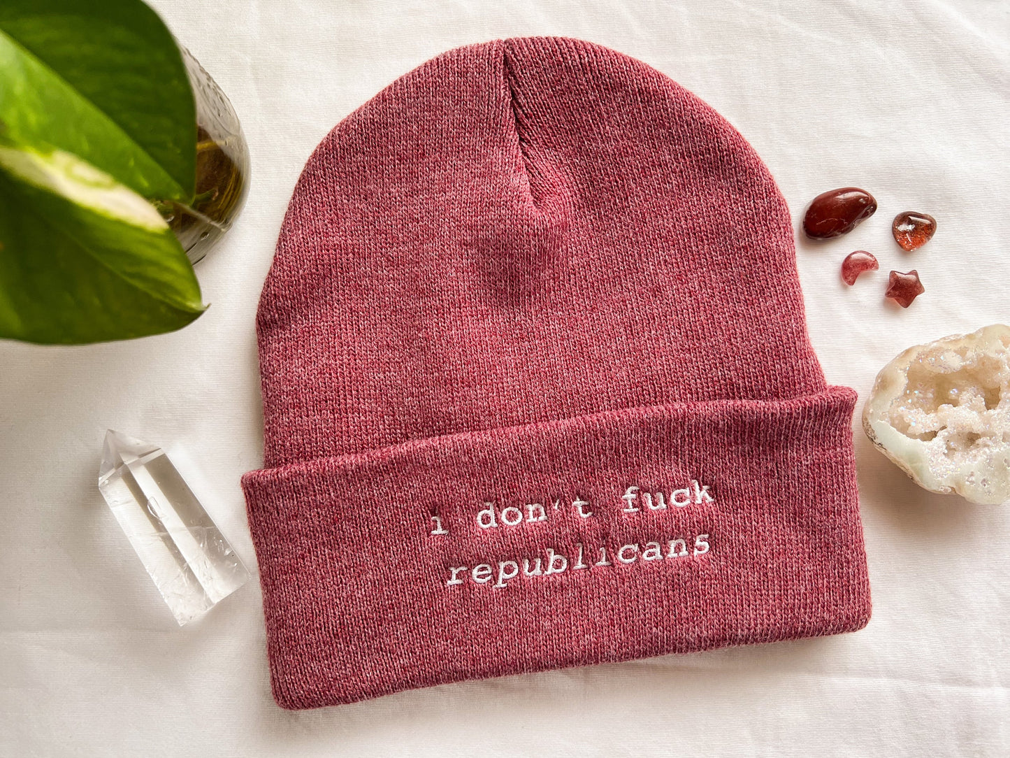 i don't fuck republicans beanie